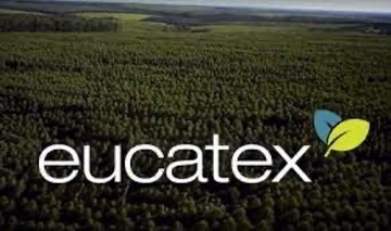 Eucatex informa resultados de 2023