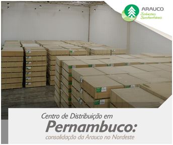 Arauco Pernambuco