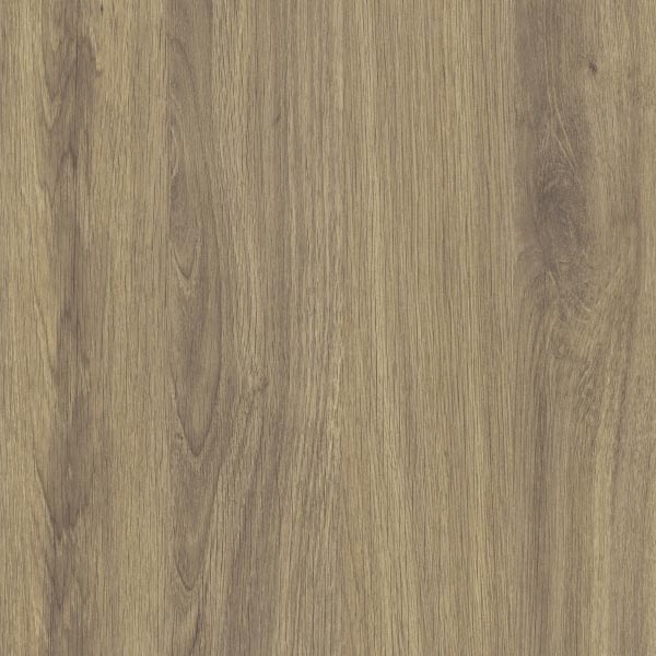 Arauco Prism Palomino