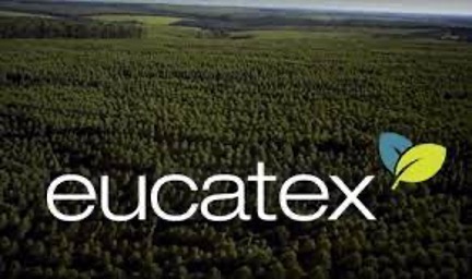 Cae rentabilidad de Eucatex en 3T-2022