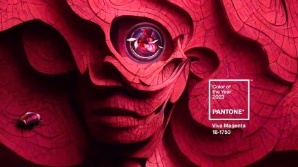 Viva Magenta is Pantone  Color of the Year 2023