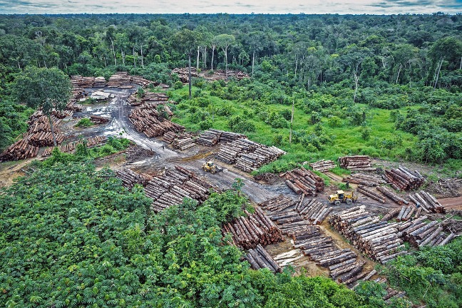 Brazil Calls for EU to Reevaluate Deforestation Import Ban