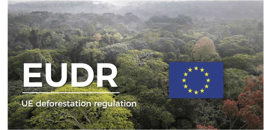 European Associations Call for Delay in EUDR Implementation