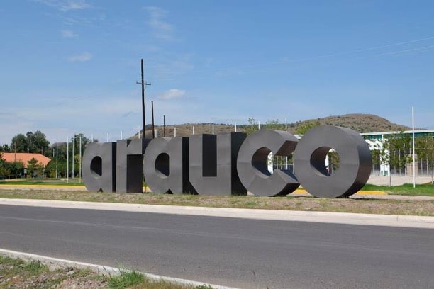 Arauco reporta sólidos resultados en 3T-2024