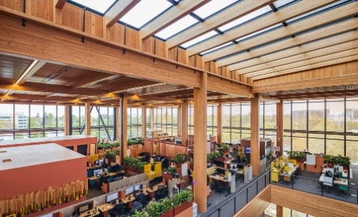 Google Unveils First Mass Timber Office in California