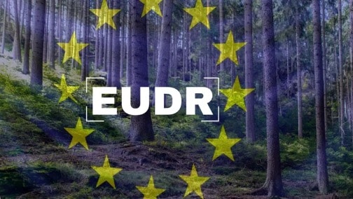 Ley de Deforestación de la UE enfrenta obstáculos