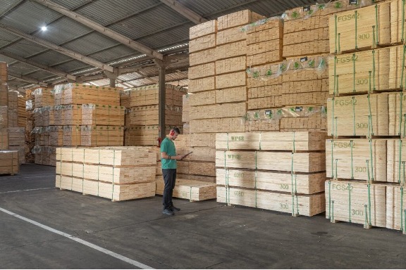 Aranceles de hasta 50% amenazan empleos forestales en Paraná