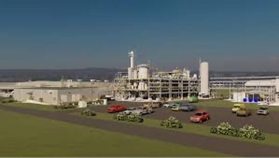 Accoya se expande en México con nombramiento de primer distribuidor directo