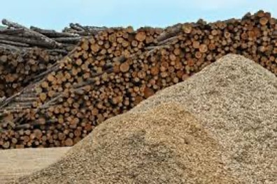 Rayonier y PotlatchDeltic anuncian fusión por USD 7.100 millones