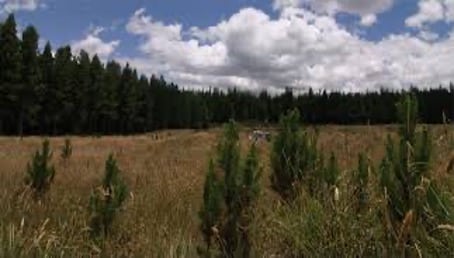 Aglomerados Cotopaxi refuerza su lucha contra incendios forestales