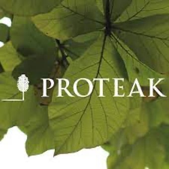 Proteak reduce pérdida neta pese a la fuerte caída en ventas