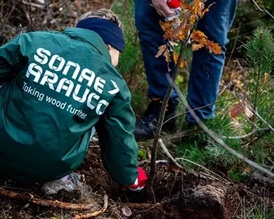 Sonae Arauco refuerza su compromiso ambiental